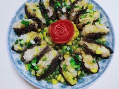 -田螺阿姨自营月嫂·育儿嫂(高新店)