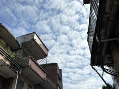-细村农贸综合市场