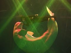 -芜湖新华联大白鲸海洋公园