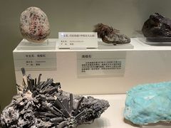 -天津自然博物馆
