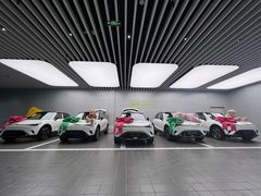 -上海浦东smart汽车全功能店(金桥店)