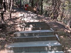 -杭州半山国家森林公园