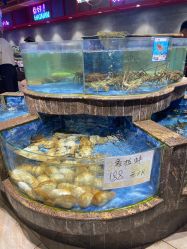 -胜利乐园(胜利购物广场店)