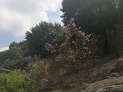 -乌山风景区