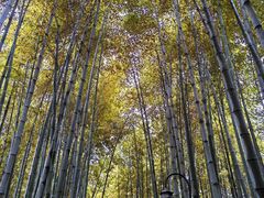 -宝岩生态观光园