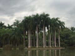 -中国科学院西双版纳热带植物园