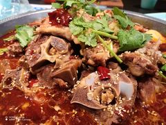 -小龙跃.羊蝎子火锅(凤凰北街店)