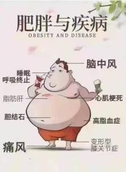 -香薇妮丝·定制减肥·身材管理