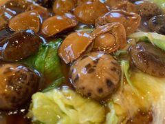 -美心皇宫(沙田大会堂店)