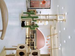 -喵园·猫主题咖啡厅·撸猫·猫咖(国贸店)