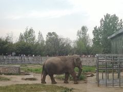 -西安秦岭野生动物园