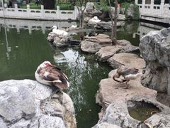 -莲花池公园
