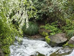 -中国茶叶博物馆(双峰馆区)