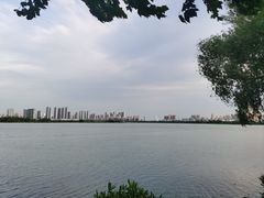 -金银湖国家城市湿地公园
