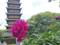 -常熟方塔园