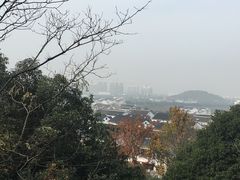 -树山生态村