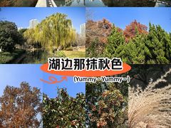 -白塘生态植物园