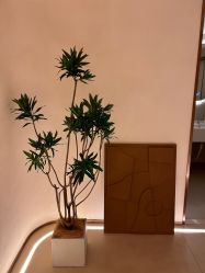 -LORI SPA洛丽汇 美肤抗衰SPA中心