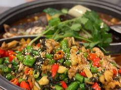 -探炉·香辣豆花烤鱼(笋岗宝能环球汇店)