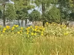 -艾溪湖湿地公园