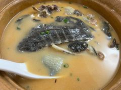 -良友水鱼城