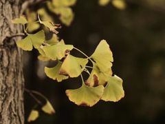 -白鹭湾湿地公园