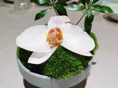 -甬府小鲜(万象城店)