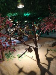 -酷嗒动物文化乐园(cutezoo西溪乐天城店)