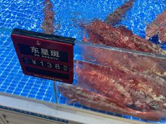-皮记海鲜1995(寮步店)