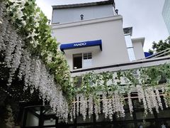 -MADO冰淇淋咖啡馆(淘金店)