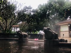 -碧水湾温泉