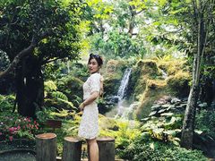 -Chom Cafe and Restaurant