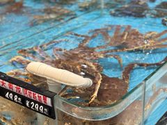 -越百海海鲜蒸锅(乐山店)