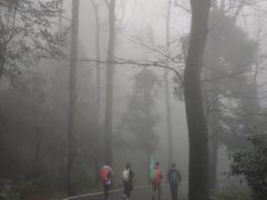 -南岳衡山风景名胜区