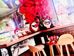 -柴犬高等学院·狗咖·柴犬售卖·宠物训练