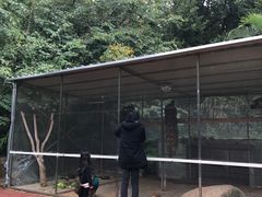 -厦门悦华酒店