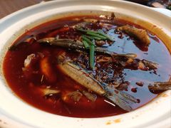 -樽宴酒楼·地道川菜·品质宴请