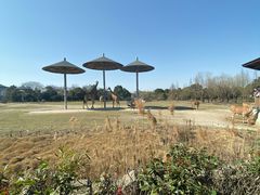 -宁波野生动物园