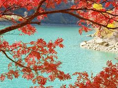 -叠溪松坪沟景区