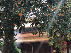 -普陀山风景名胜区-法雨禅寺