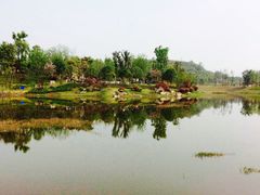 -卧龙湖