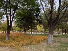 -城墙带状公园-大同古城墙广场停车场