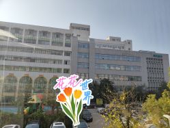 -弗蕾亚·和月月子调理院(东湖店)