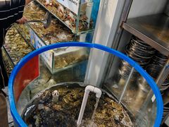-仙螺岛海鲜自助餐厅(总店)
