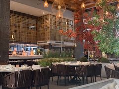 -拈菜(观音桥阳光世纪店)