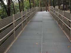 -福道