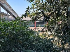 -东江渔村·古典园林·30年粤菜老字号(太和店)
