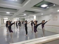 -西安小天鹅艺术团(金花路校区)