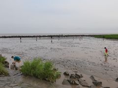 -南汇嘴观海公园