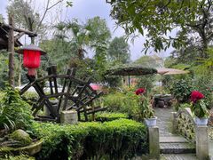 -青城甲(青城山店)